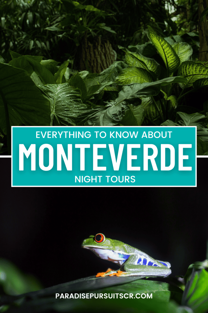 Monteverde Night Tour Pin for pinterest.