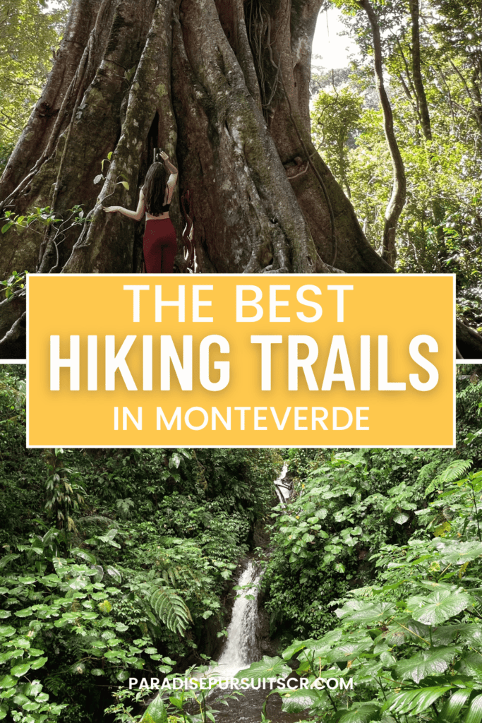 the best hiking trails in monteverde pin for pinterest. 