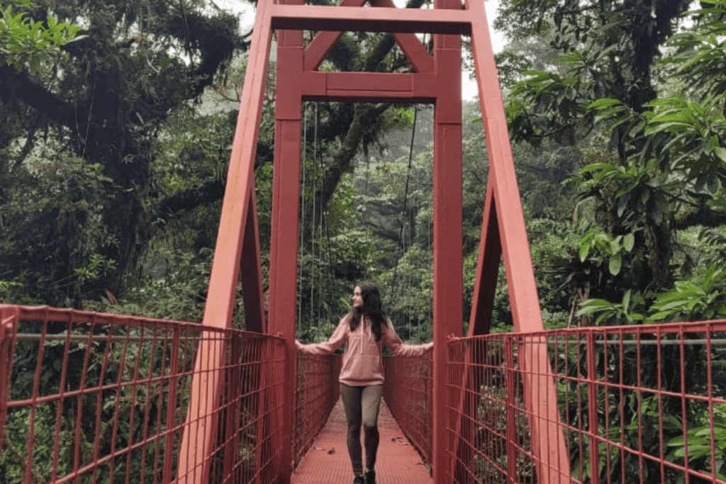 hanging bridge in monteverde. 