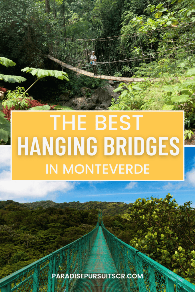 the best hanging bridges in monteverde pin for pinterest. 