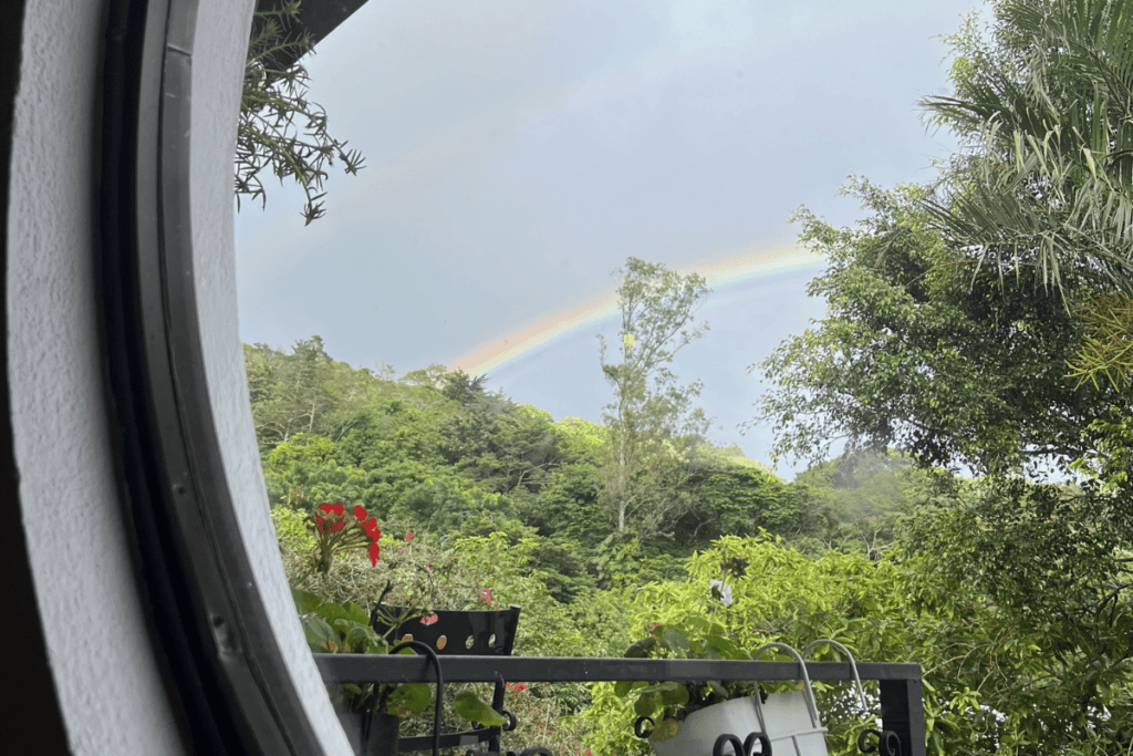 Orchid Cafe with window outside in monteverde.