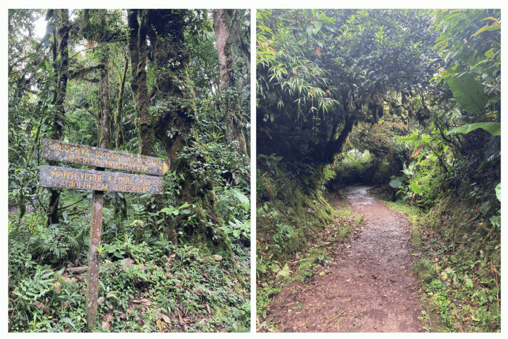 hiking trails in costa rica. 