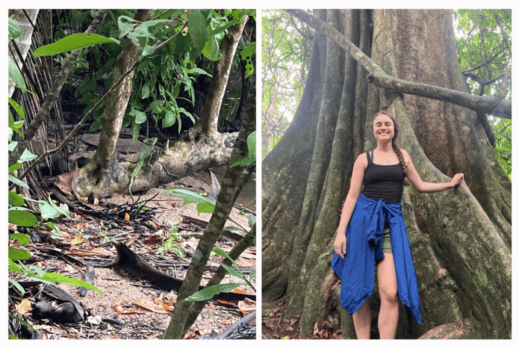 girl hiking in Cahuita National Park. 