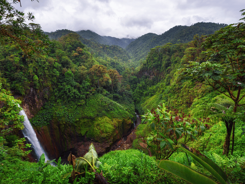  Catarata del Toro- Tallest waterfall in Costa RIca. 