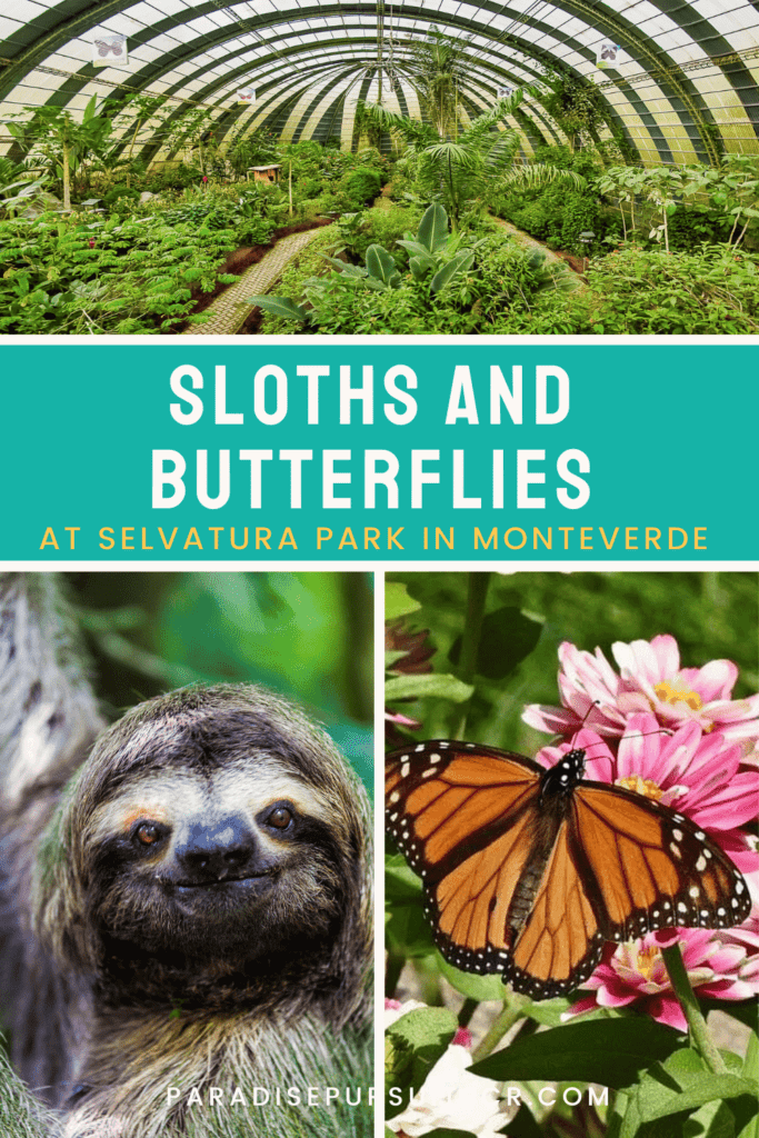 Monteverde sloth conservation and butterfly garden at selvatura park pin for pinterest