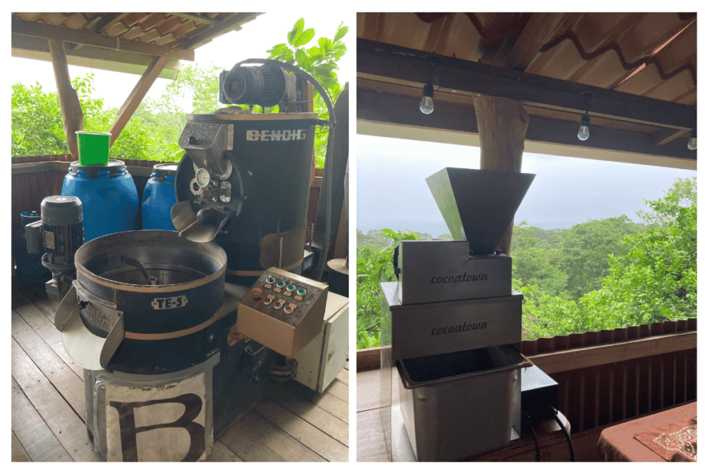 Caribeans chocolate tour workshop with jungle views. 