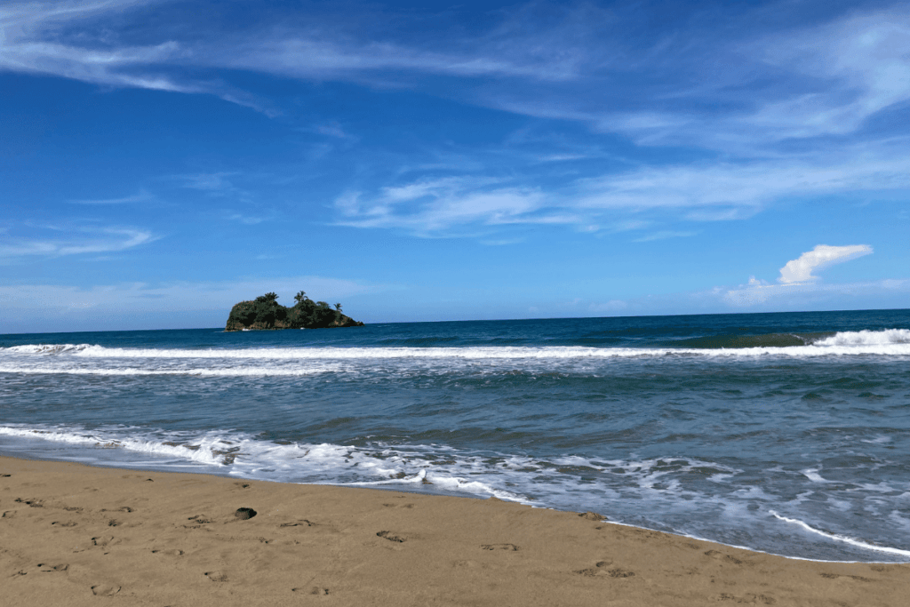 playa cocles in puerto viejo.