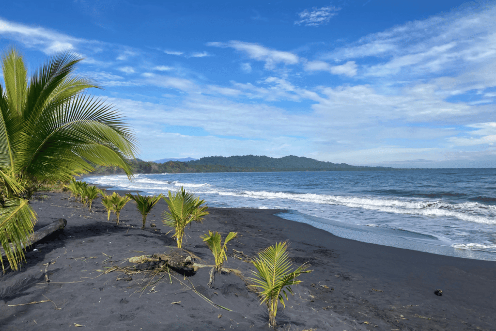 black sand beach in puerto viejo. 