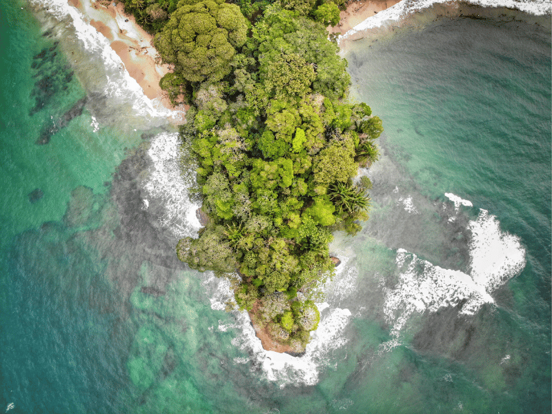 drone view of playa punta Uva in costa rica. 