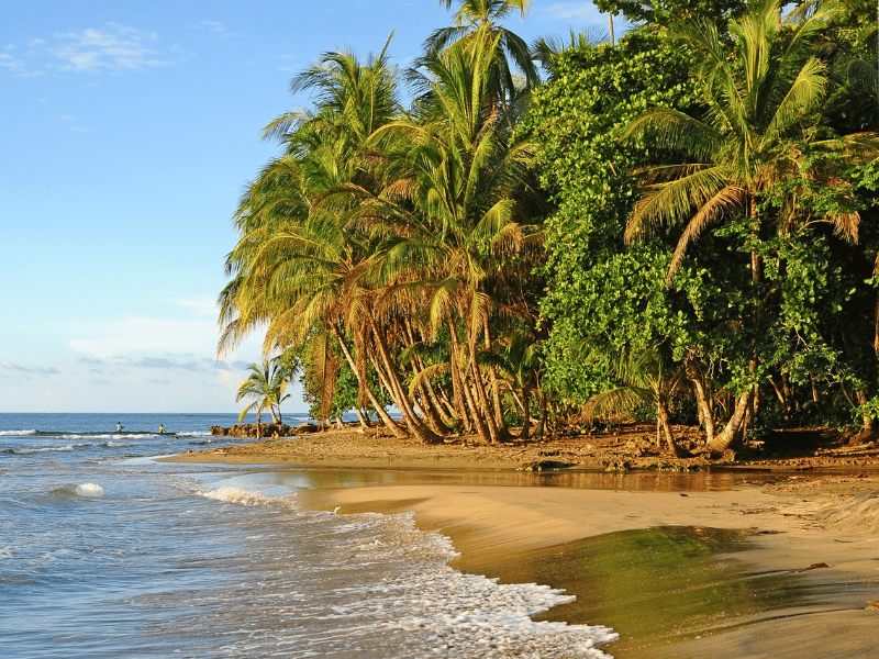 Playa manzanillo. 